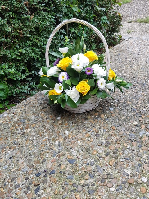 Basket01