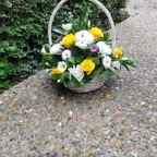Basket01